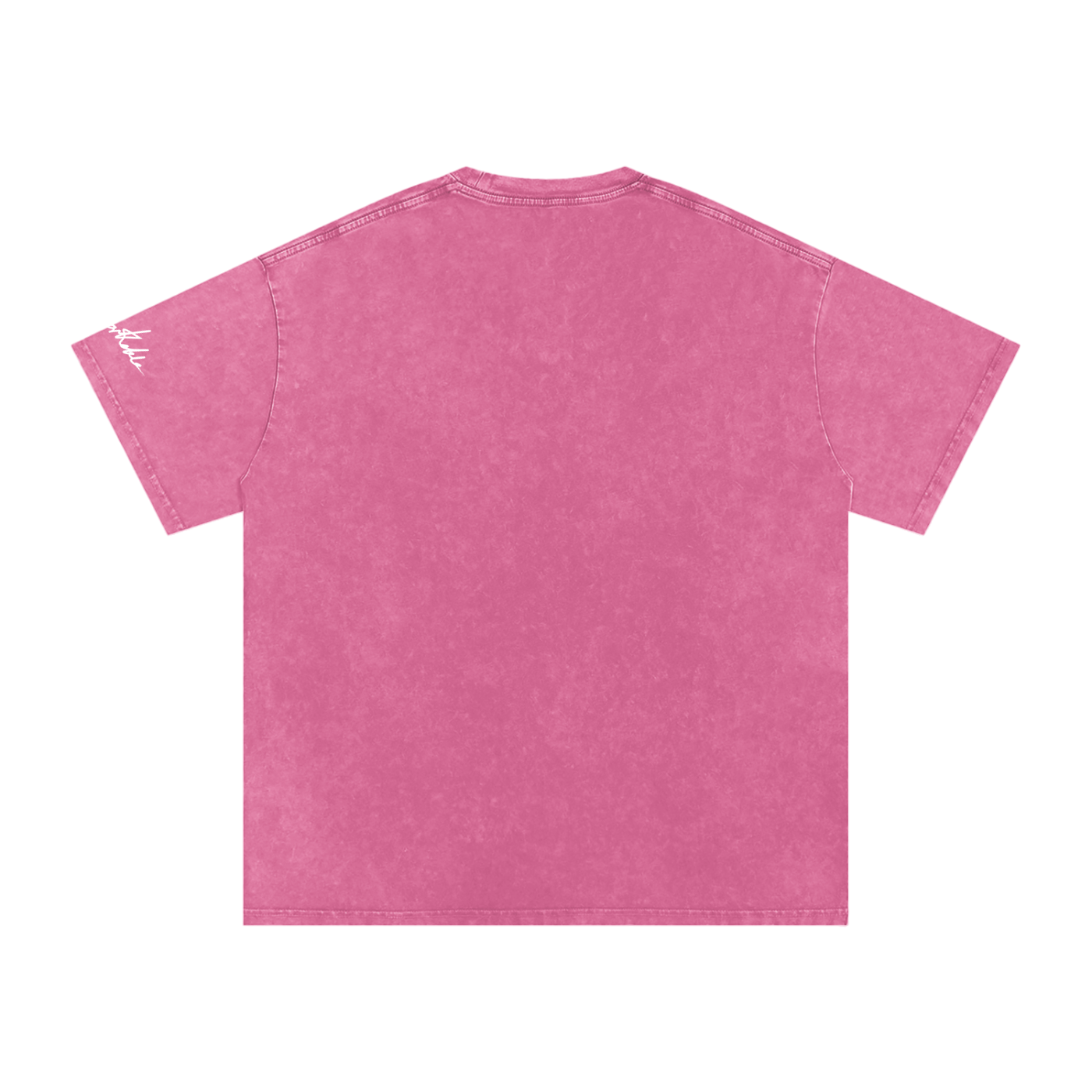 "Do not feed the pilgrims" Snow Washed Oversized Cotton T-Shirt