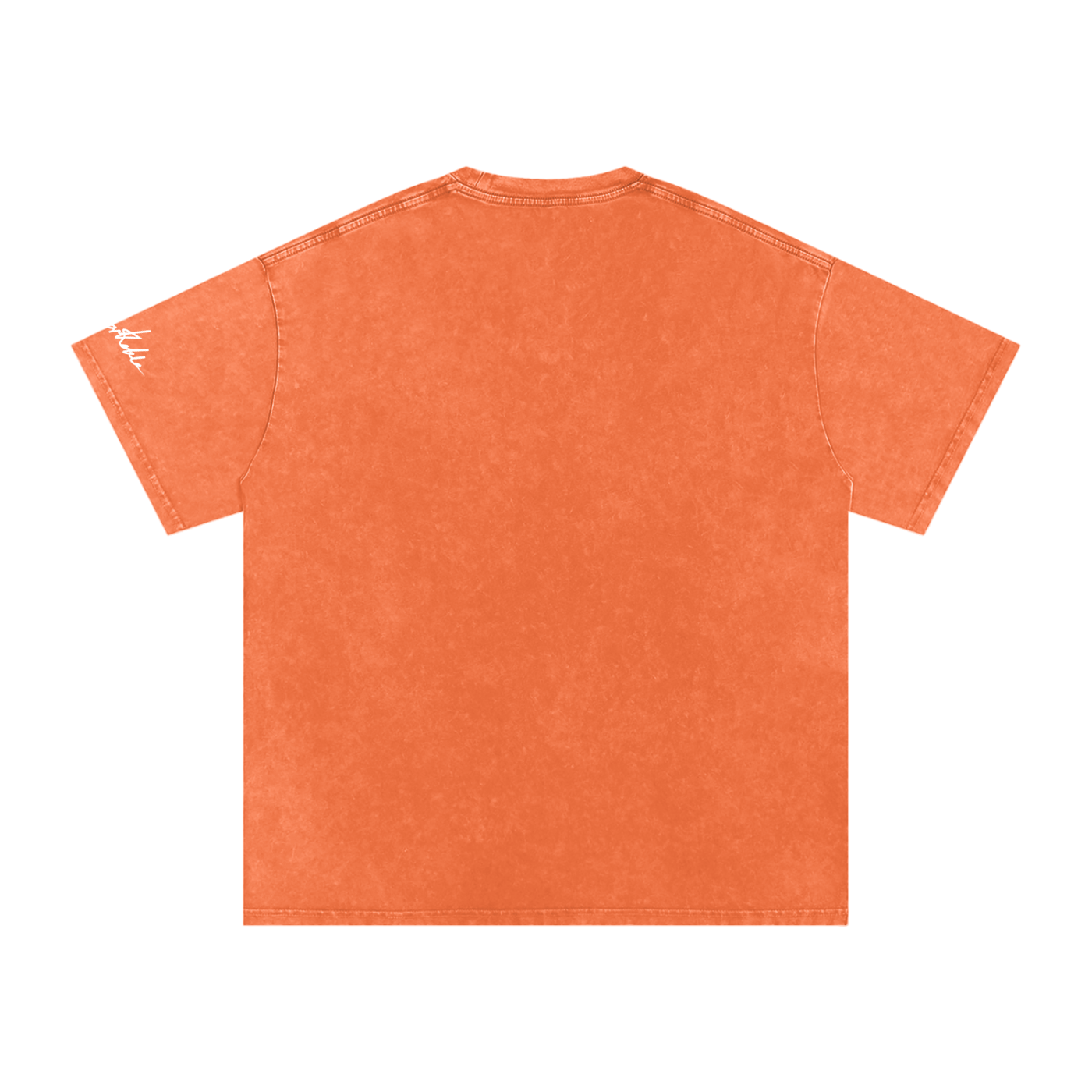 "Do not feed the pilgrims" Snow Washed Oversized Cotton T-Shirt